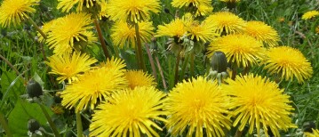 Informatie Webinar voor particulieren 2023