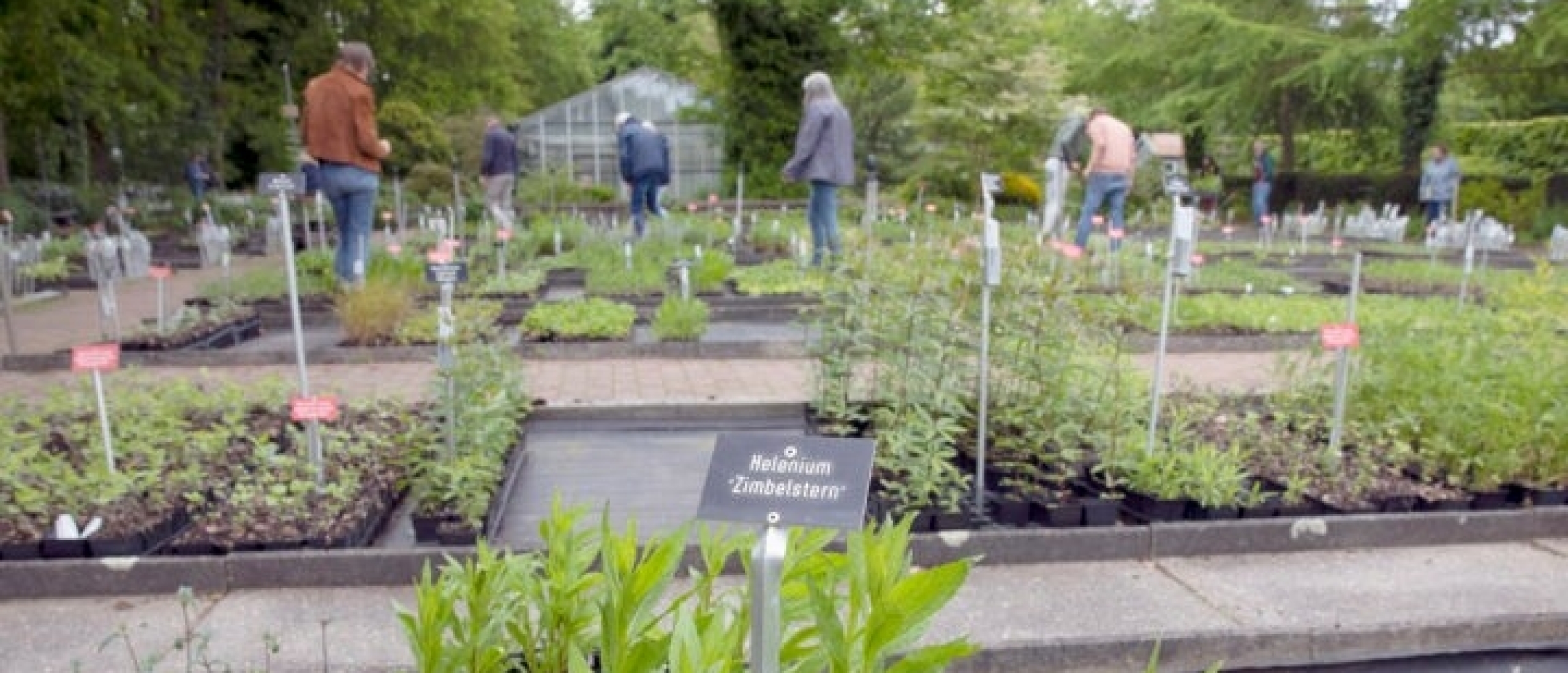 Biologische kwekers ‘Het gaat de goede kant op. Maar wel heel langzaam’