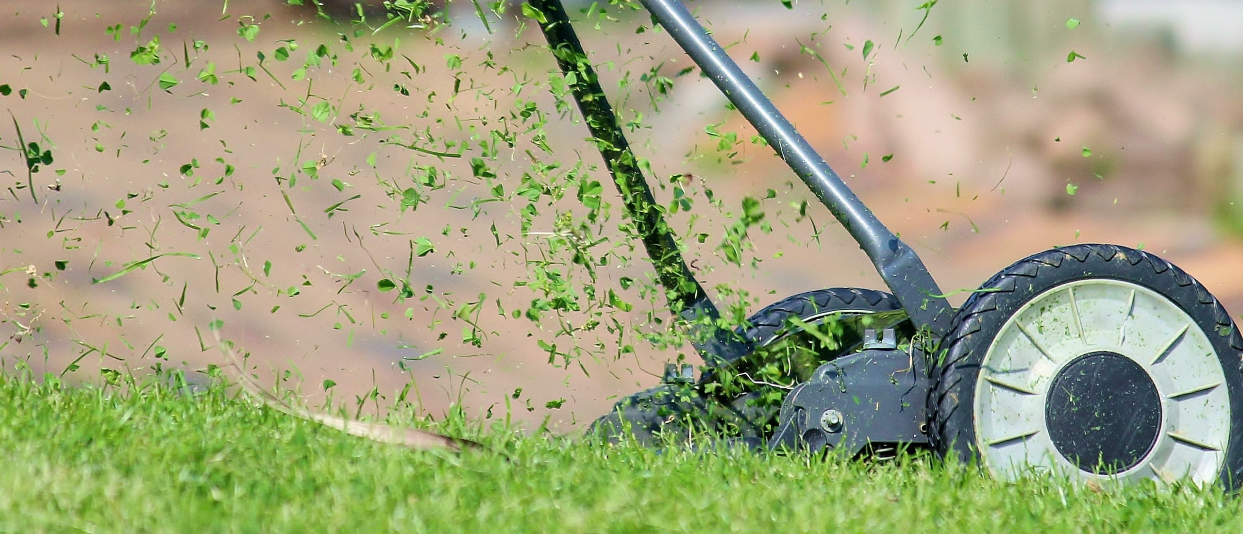 Hoe te maaien na de maand mei?