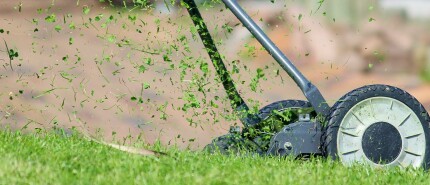 Hoe te maaien na de maand mei?